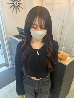 6ヶ月持つ韓国ハネエクステ 60本　¥550/1本❗️詳細確認お願い致します❗️