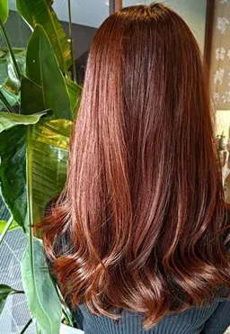 シングルカラー　＋　クイックケアトリートメント　ブローこみ