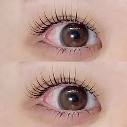 上下🎀パリジェンヌorラッシュリフト