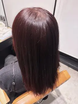 🦋ワンカラーモデル🦋