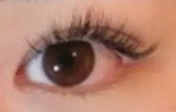 特別価格☆フラットラッシュ/シングルラッシュ100本迄