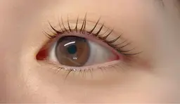 パリジェンヌラッシュリフト（上）※施術前後のお写真撮影にご協力お願い致します🤲