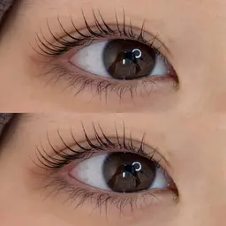 まつ毛パーマのみ