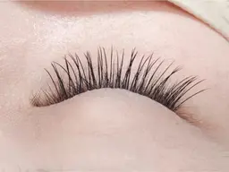 《minimo限定》フラットラッシュ80本 *オフ無料*