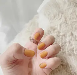 【ハンドオフ無し】ワンカラー (2色まで)パラジェルに変更+1100円 新宿 【新人ネイリスト限定価格】