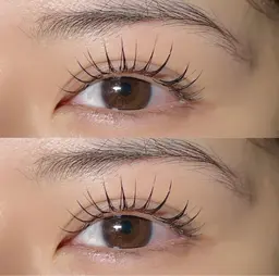 ⌇🌛パリエク🌛⌇パリジェンヌ➕フラットラッシュ120本👀逆まつげのかたも✨最強パッチリ🧡🧡