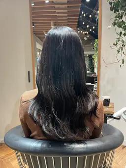 最高級✨イルミナorアディクシーorシアトネカラー7000円→3300円