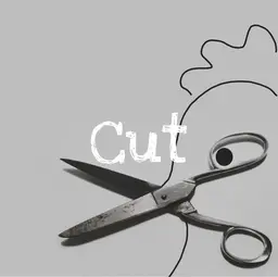 カットのをしたい方はこちら！！