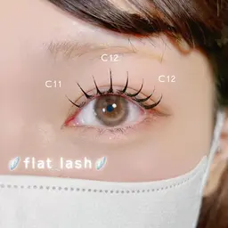 【シングル】フラットラッシュ100or120本🎀