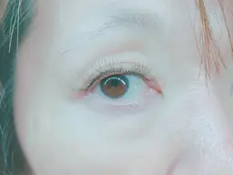 バインドロック　100束