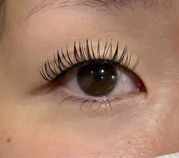 minimo限定！ダブルフラットラッシュ120束まで￥5500