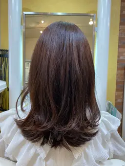 🌱N.ルフレカラー＋カット