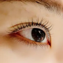 まつ毛パーマ パリジェンヌラッシュリフト(トリートメントケア、コーティング付♪)