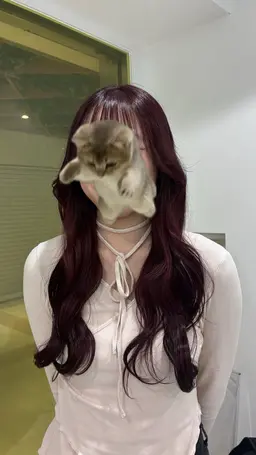 韓国レイヤーカット¥2760🤍🛁