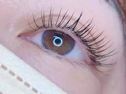 【⭐️🎀期間限定🎀⭐️】セーブルラッシュ 100～120本 4,980円 [銀座・東銀座]