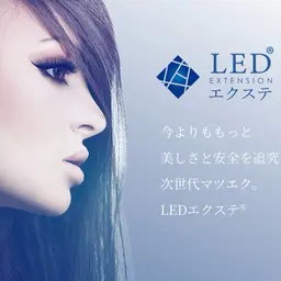 LED バインドロック　80束コーティング付き✨　オフ有無