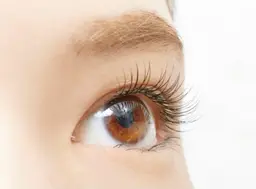 【オフなし】付け足し30分✨フラットラッシュ最大60本🍀コーティング付き⚠️ご新規様5分前来店