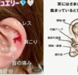 当店ご新規様限定♩話題の耳ツボジュエリー★(50種類からお選びいただけます/12個セット)