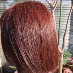 ⭐️イルミナカラー