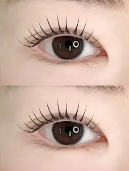 新規限定🦋韓国風束感🦋根元から立ち上け パリジェンヌラッシュリフト/コーティング仕上げ4980➡️3990