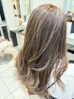 [🌟枚数制限なし🌟]🪿ハイライト+ベースカラー🧡