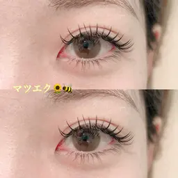 【12/9.15.26.29限定】    バインドロック80束