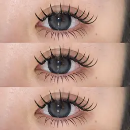 " 限定 "オフ込 バインドロック 80束(160本)　🎀