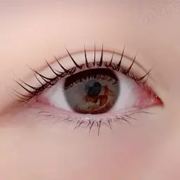 ラッシュリフト【上のみ】