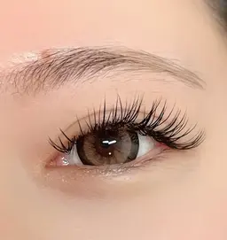 モデルクーポン ボリュームラッシュ 80束(片目40束)