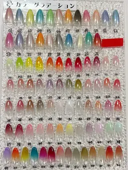 新規オフ無料 ★平日限定クーポン★限定色カラーグラデーション★¥5500→¥4980