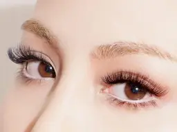 ハリウッドマツエク ！5Dボリュームラッシュ (約500本)100束  6000円ミスアイドール 高品質