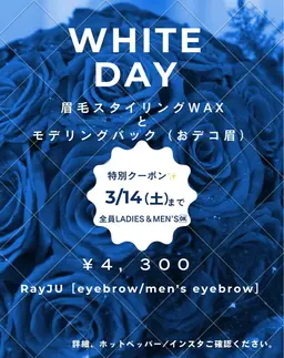 【ホワイトデー限定♡】眉毛スタイリングWAXとおデコ眉モデリングパック付
