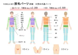 高校生学割！ボディー脱毛👨🏻‍🎓👩‍🎓画像のパーツ(10箇所まで)ご希望の脱毛部位お選びください。　男女🉑