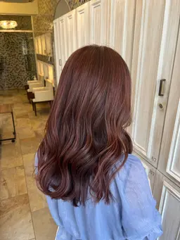 ワンカラー𐔌՞ִ   ̝  ̣ ՞𐦯