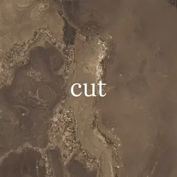 カット✂︎ (スタイルご相談◎)