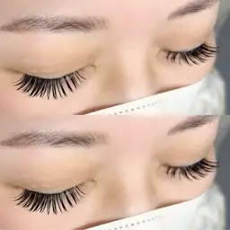 Wフラット120束(本数ご相談頂けます)