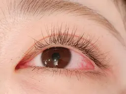 【ご新規様クーポン】オフ込み・フラットラッシュ100本🫧