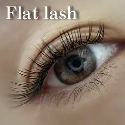 ◇ フラットラッシュ＊100本