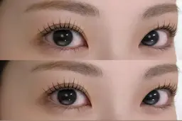 🪽《パリジェンヌラッシュリフト💫》次世代まつ毛パーマ💖根元から80度立ち上げでぱっちりEYE🩵👀✨
