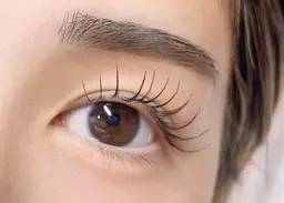 🪩 フラットラッシュ 120本 🪩 オフなし