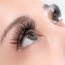 【LED】ボリュームラッシュ80束(240本)アイシャンプー込￥7900