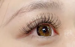 【3/23限定】🌸LEDフラットラッシュ/オフあり120本/オフなし140本 🌸(オフ・リピーター様各+500円)