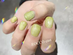 🌸パラジェル🌸マグネット/フラッシュ/オーロラ/《オフなし》¥6300