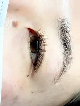 ボリュームラッシュ　80束　¥3,850