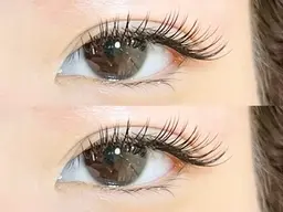 フラットラッシュ100本 再来+500円 ⸜❤︎⸝