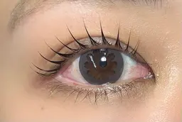 上下セットまつげパーマクーポン👀🤎