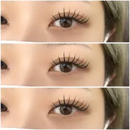 1/27まで限定☆ダブルフラットラッシュ100束(200本)[ブラウン可]