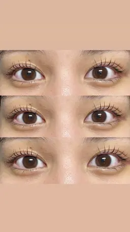 ラッシュリフト(高濃度トリートメント付き)