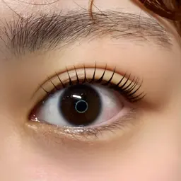 【学割U24】🪻まつげパーマ🪻コーティング付き（束感仕上げ🉑）