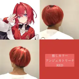 🥝リピーター様限定🥝【 ブリーチ無しオンカラー 】  推しカラー/アニ髪/推し色/派手髪